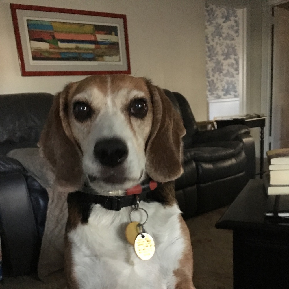 Meet your Posher, Carol